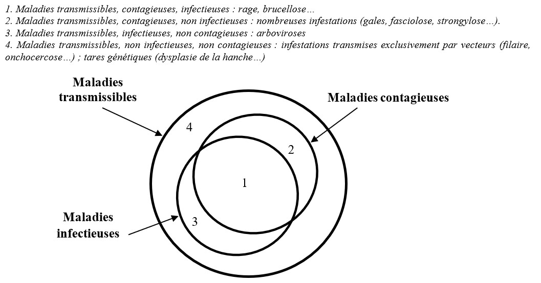 Maladie transmissible Fig 2 2023.03.08