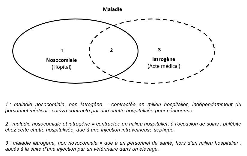 Maladie_iatrogene-_Fig_1-_2023-04-30.jpg
