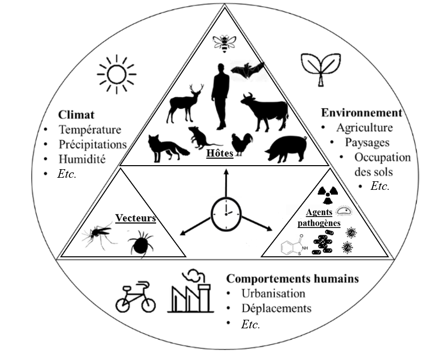 Episysteme 2024.03.08 1 corJJB